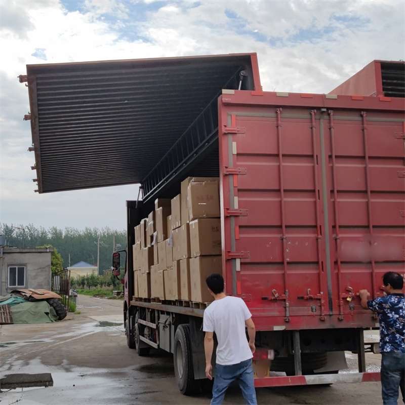 班玛县扎囊县：物流专线的高效货运之旅